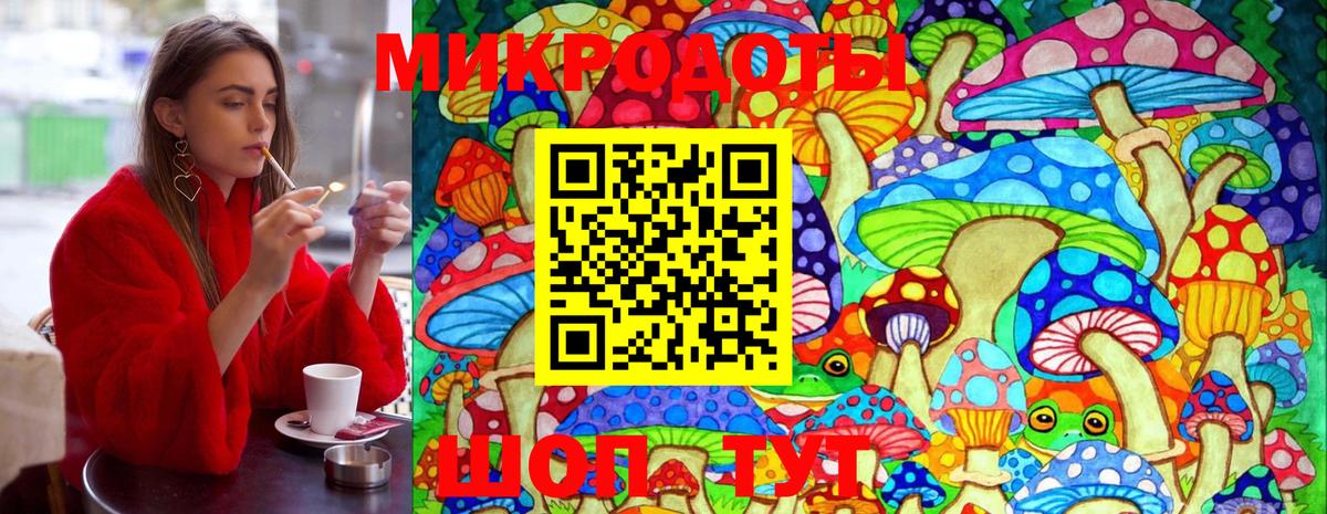 Галлюциногенные грибы мицелий Архангельск